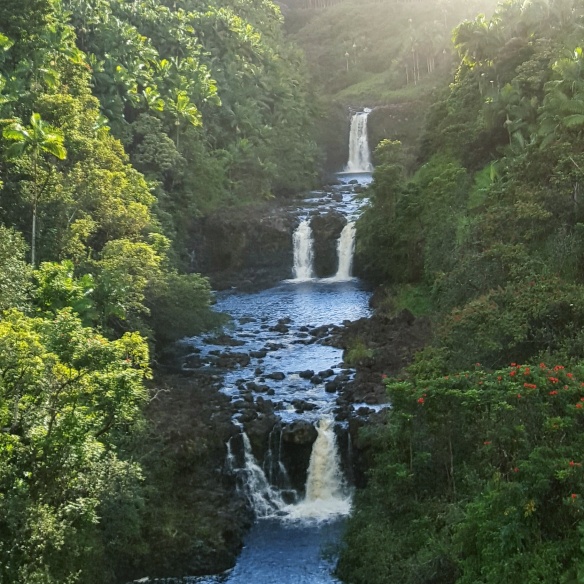 Umauma Falls the biggest waterfalls on Big Island of Hawaii