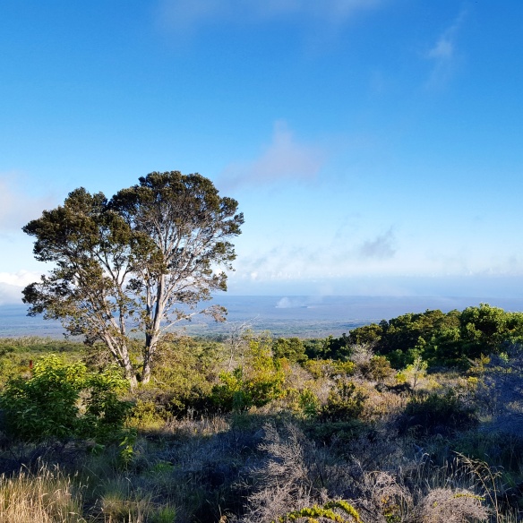 View of Kilauea caldera seen from Mauna Loa Big Island Hawaii