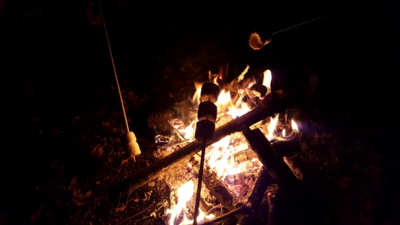 Making smores on an open fire